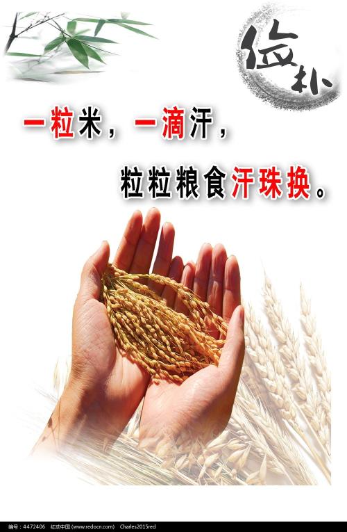 怎么购买西弗吉尼亚州出生证明